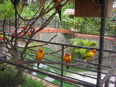 Big House Zoo, Hotel and Restaurant in Sihanoukville, Cambodia.