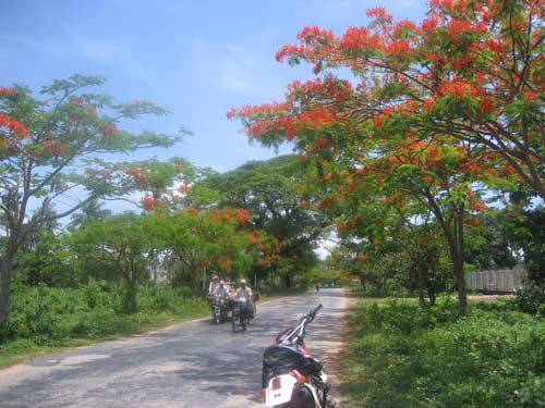 quiet kep Stray Dog Adventures dirt bike tours in Sihanoukville, Cambodia.  Motorcycle Trips throughout Cambodia.